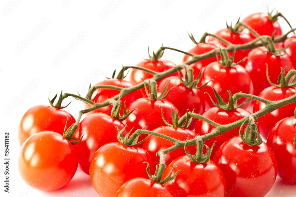branch of red cherry tomatoes