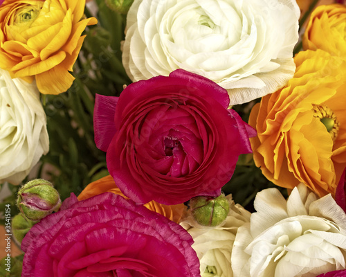 Fototapeta Naklejka Na Ścianę i Meble -  colorful buttercups bouquet, natural background
