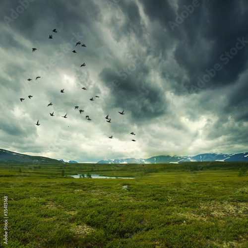wild nature with storm clouds