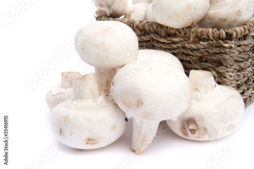 Fresh champignon mushrooms in rustic basket isolated on white