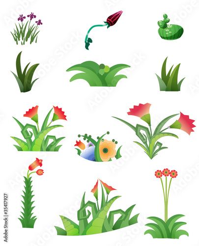 flower