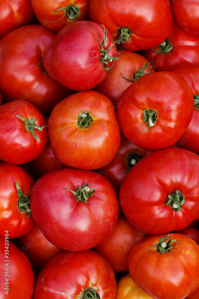 Vegetables  tomatoes  ripe autumn