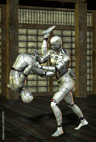 martial arts robot kung fu