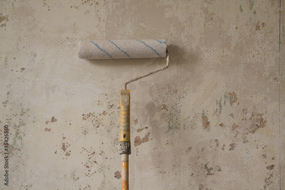 roller roller