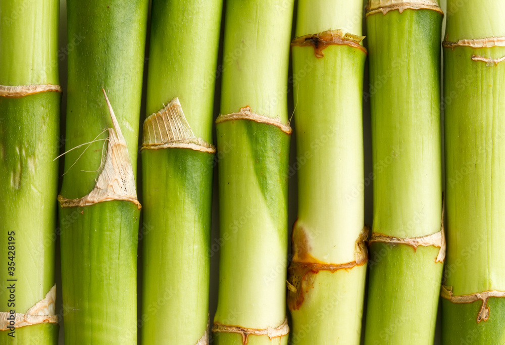 Fototapeta premium Bamboo background