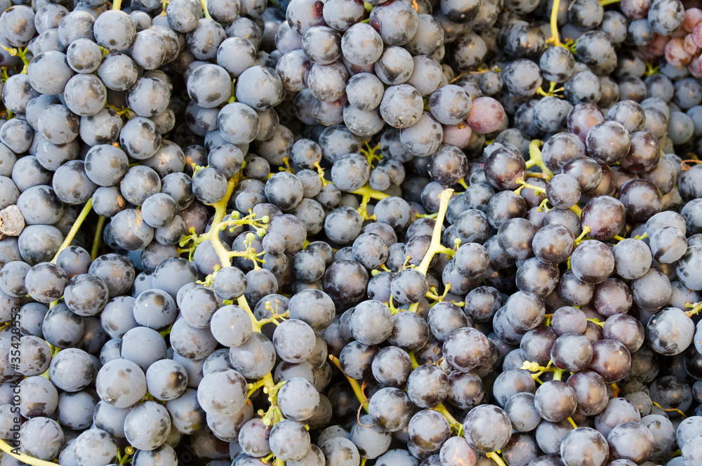 Grapes on display at the farmers market Grapes on display at the farmers market
