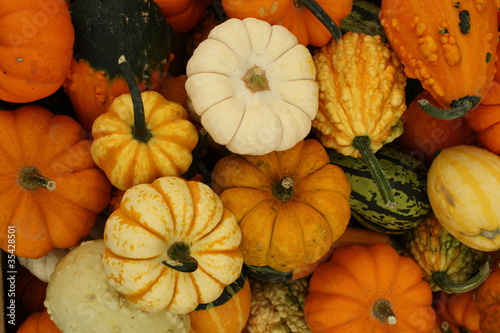 Konstfotografi Pumpkins