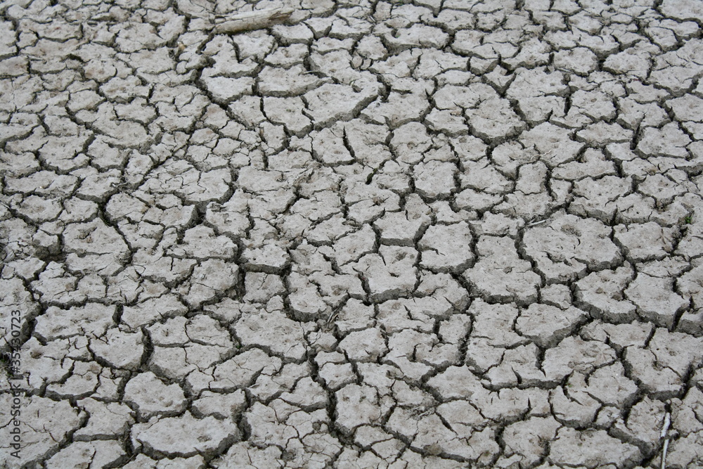 龟裂