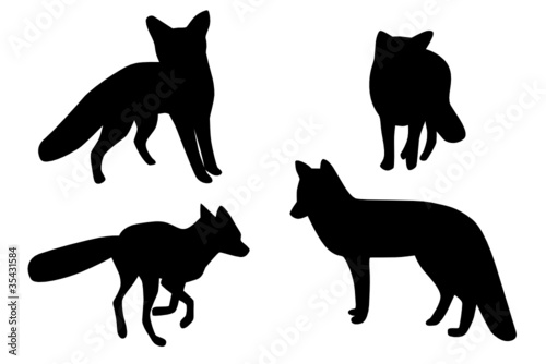 Fuchs Set