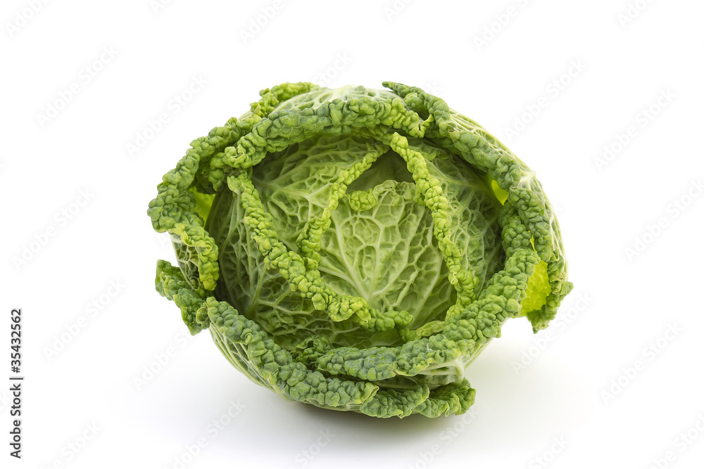 Fototapeta premium Savoy cabbage isolated on white