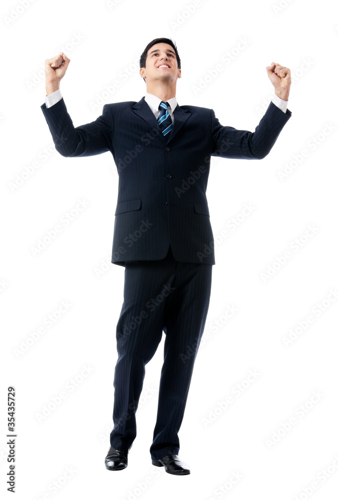 Very happy successful gesturing businessman Very happy successful gesturing businessman