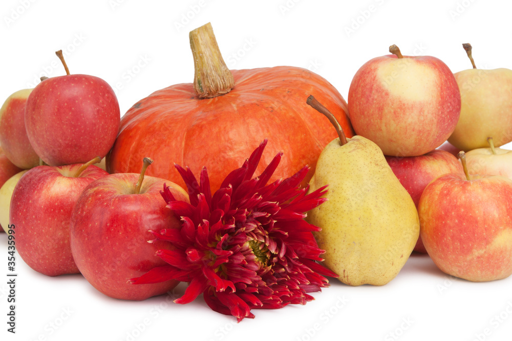 pumpkin pumpkin