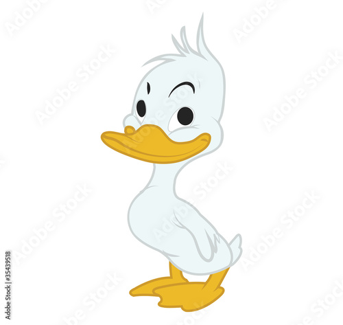 Cute duck