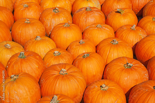 Colorful pumpkins