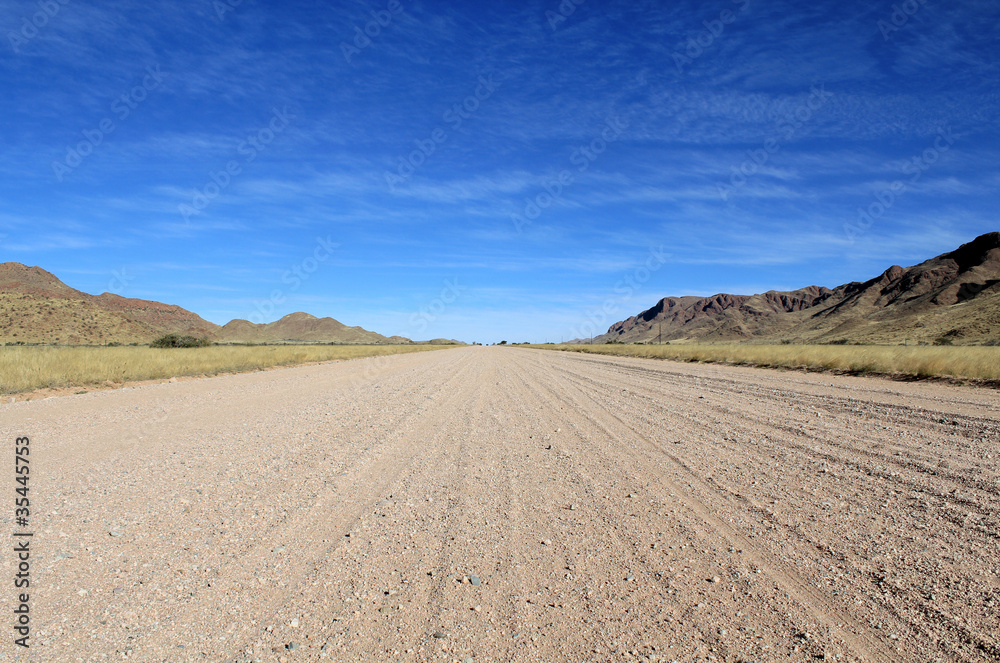 Grassy Savannah with mountains in background, Namib desert road