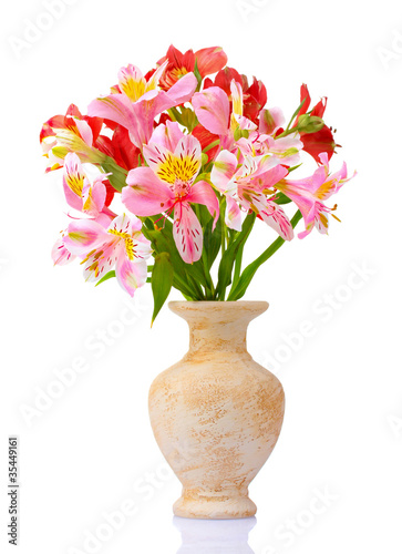 beautiful bouquet in vase isolated on white © Africa Studio