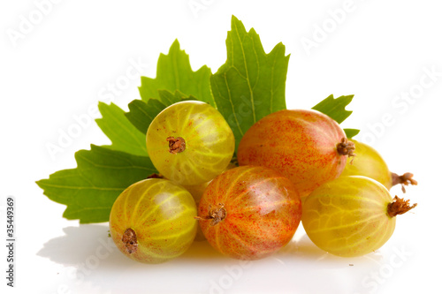 fresh gooseberries and leaves isolated on white