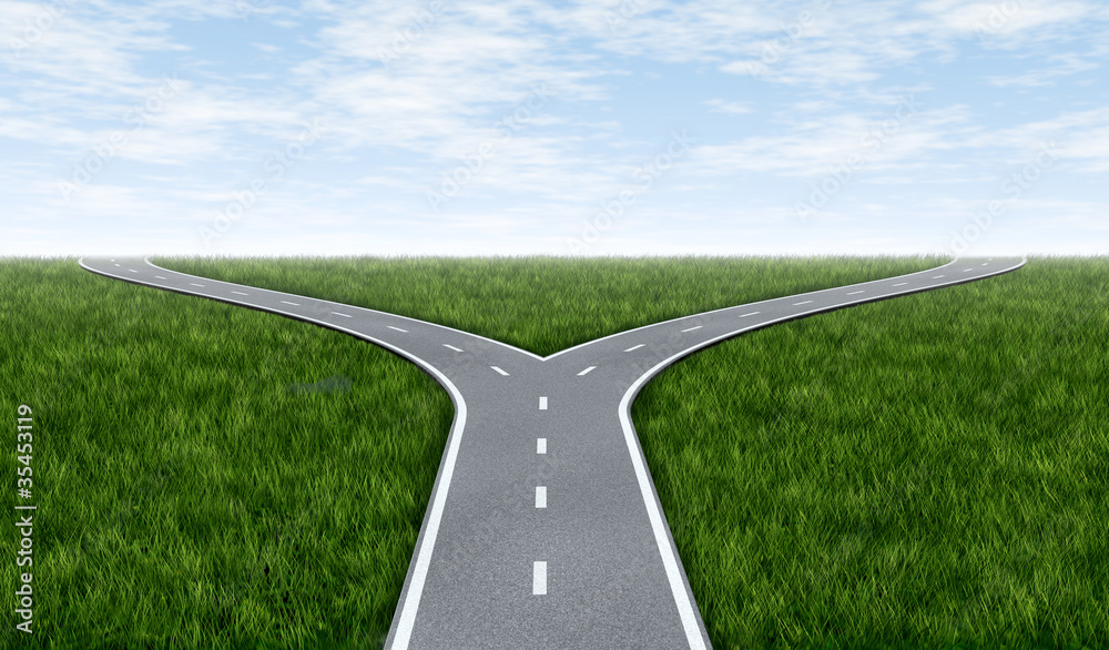 Fork in the road Stock Illustration Adobe Stock