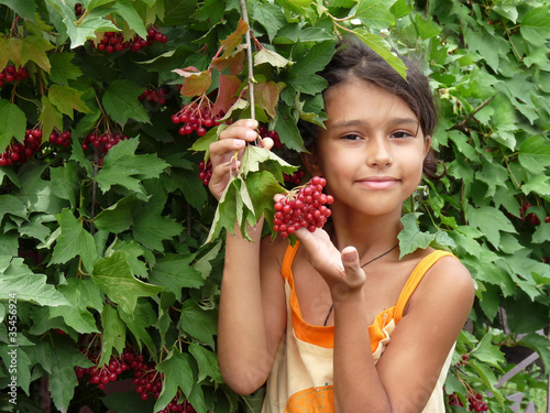 The girl standing beside a red viburnum