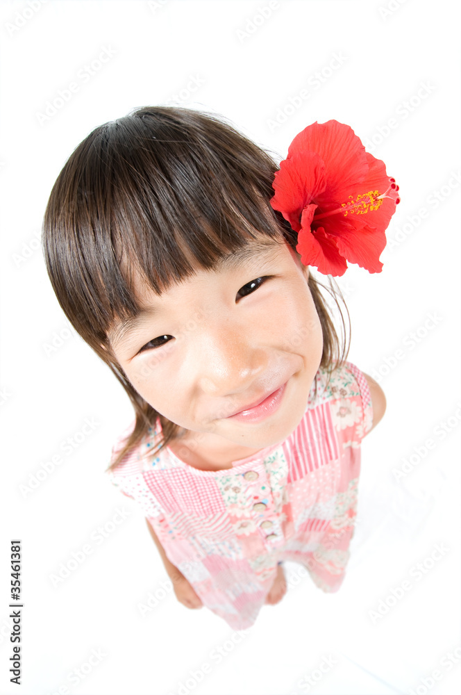 ハイビスカス女子 ハイビスカス女子