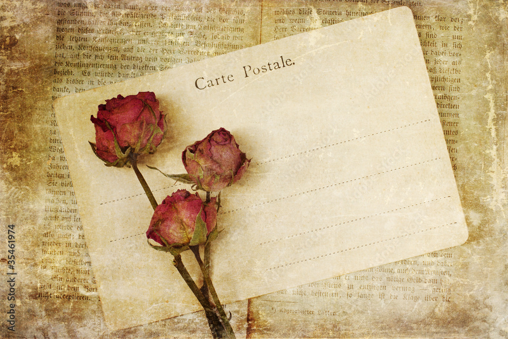 vertrocknete Rosen auf einer antiken Postkarte vertrocknete Rosen auf einer antiken Postkarte