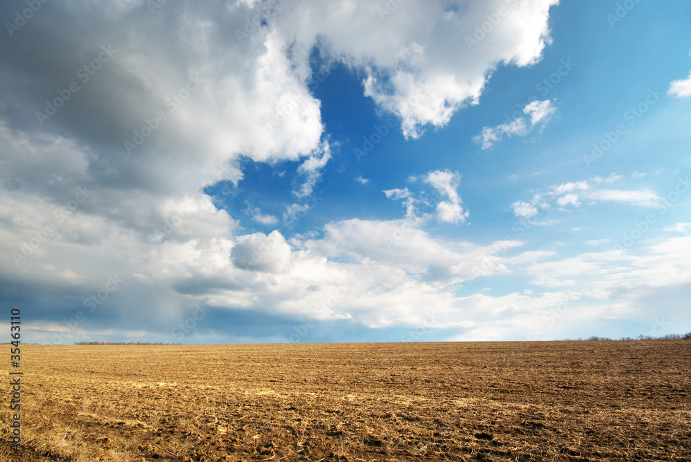 Dry meadow Dry meadow
