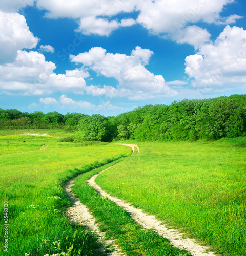 Lane in meadow