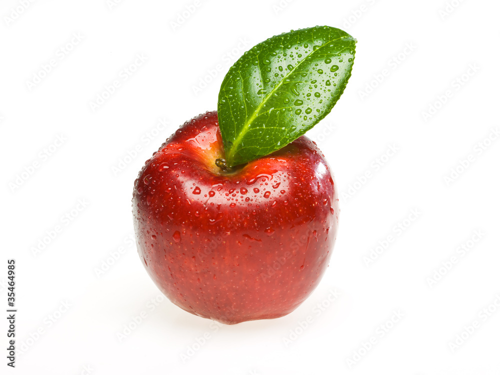 Red wet apple On white background Red wet apple On white background