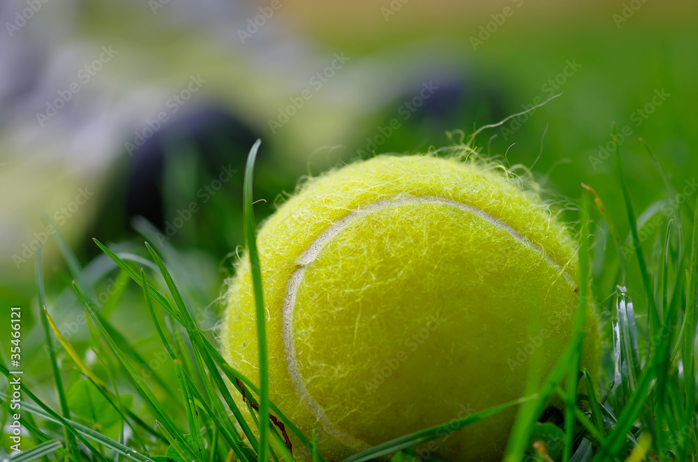 tennis,balle,herbe,tournoi,gazon,vert,jaune Stock Photo | Adobe Stock