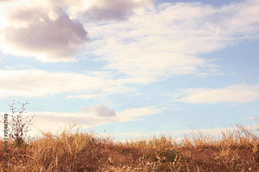 Obraz premium landscape