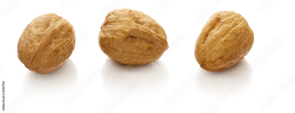 Walnut Walnut