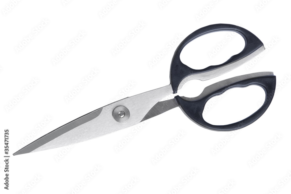 Scissors isolated Scissors isolated