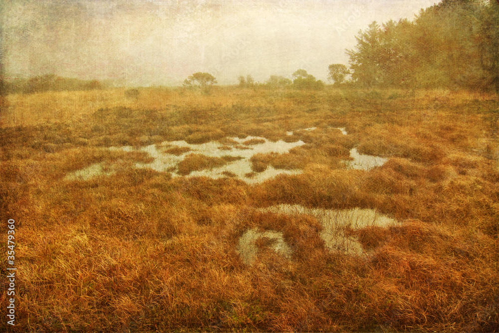 Obraz premium gespenstische Moorlandschaft