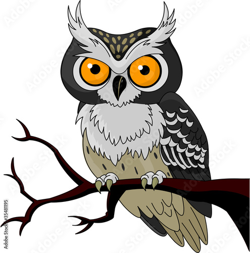 Night Owl