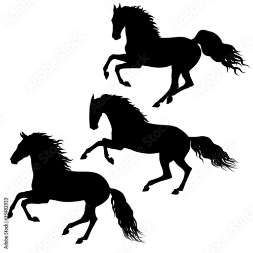 Black running horses silhouettes on white