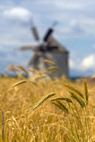 Bunch of ears of wheat with a windmill in the background