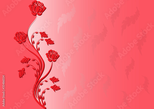 rose background