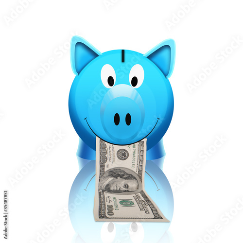 piggy bank with money