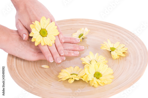 Woman hands and flowers
