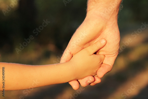 family father and child son hands nature outdoor © Khorzhevska