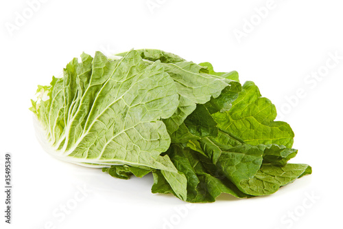 fresh Chinese cabbage over white background