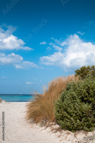 Fototapeta Naklejka Na Ścianę i Meble -  Costa Smeralda, sand dunes at Pevero beach