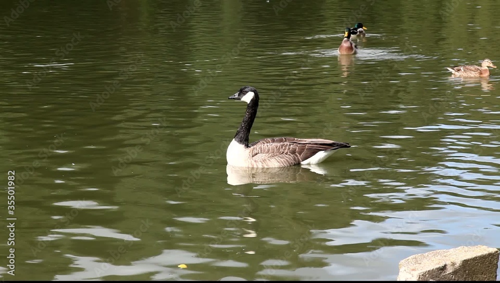 parc parc
