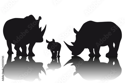 Nashorn Familie