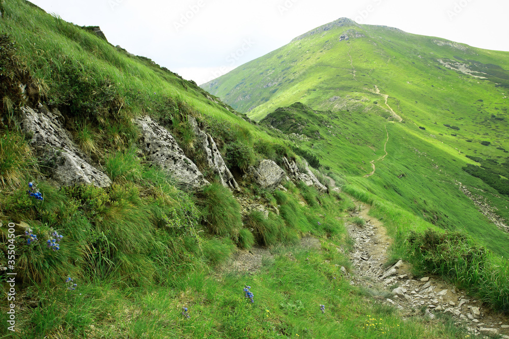 Beautiful landscape Beautiful landscape
