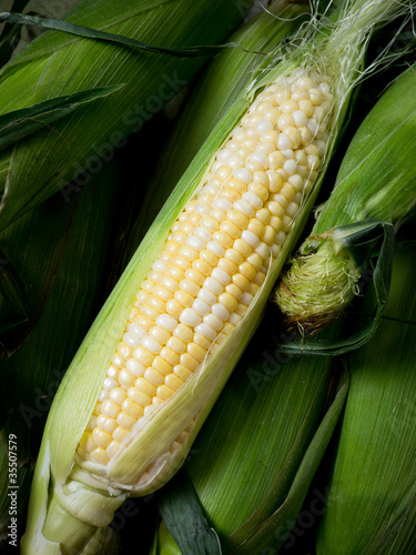 Cob of corn