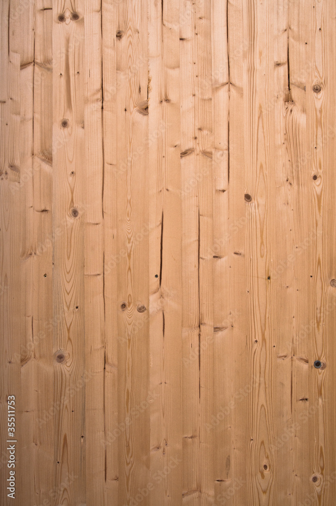 Stock macro photo of the texture of wood Stock macro photo of the texture of wood