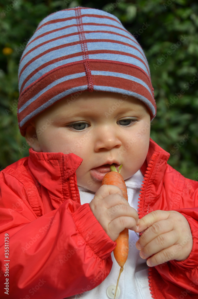 quels légumes pour bébé? quels légumes pour bébé?
