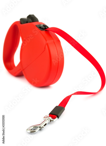 Red retractable leash for dog