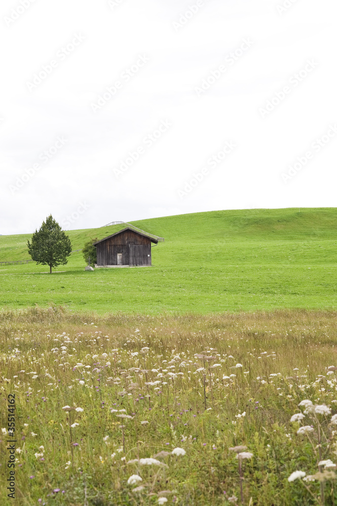 Haus auf Wiese Haus auf Wiese
